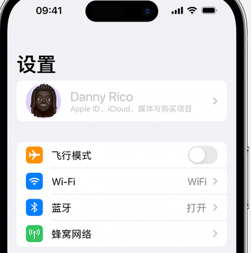 凉城appleID维修服务iPhone设置中Apple ID显示为灰色无法使用 