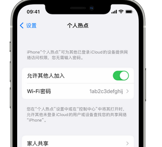 凉城apple服务站点分享iPhone上个人热点丢失了怎么办 