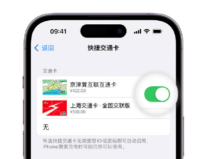 凉城apple维修点分享iPhone上更换Apple Pay快捷交通卡手绘卡面 