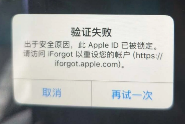 凉城iPhone维修分享iPhone上正常登录或使用AppleID怎么办 