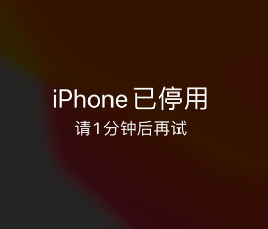 凉城苹果手机维修分享:iPhone 显示“不可用”或“已停用”怎么办？还能保留数据吗？ 