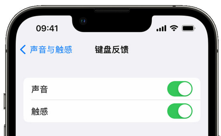 凉城苹果手机维修分享iPhone 14触感键盘使用方法 