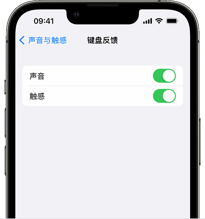 凉城苹果14维修店分享如何在 iPhone 14 机型中使用触感键盘 