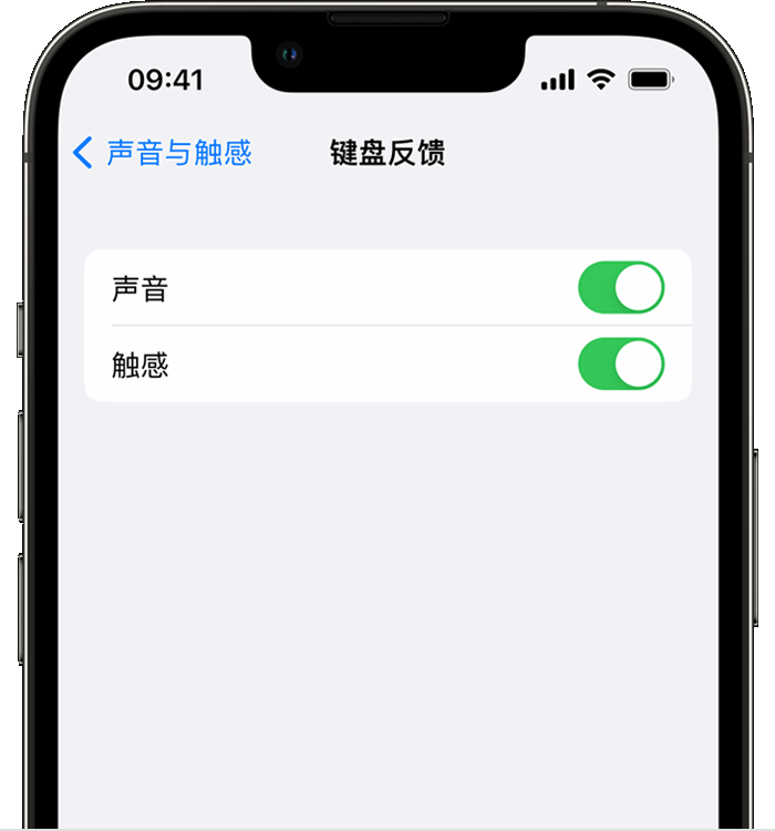 凉城苹果14维修分享iPhone 14 系列机型如何开启键盘声音或触感反馈 
