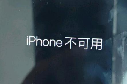 凉城苹果服务网点分享锁屏界面显示“iPhone 不可用”如何解决 