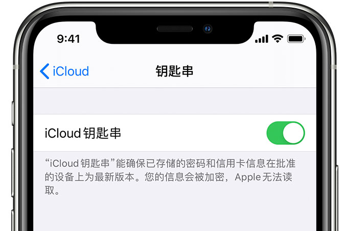 凉城苹果手机维修分享在 iPhone 上开启 iCloud 钥匙串之后会储存哪些信息 