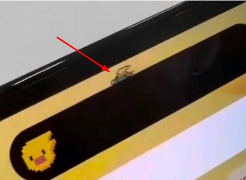凉城苹果14维修分享iPhone 14 Pro Max灵动岛怎么养宠物 