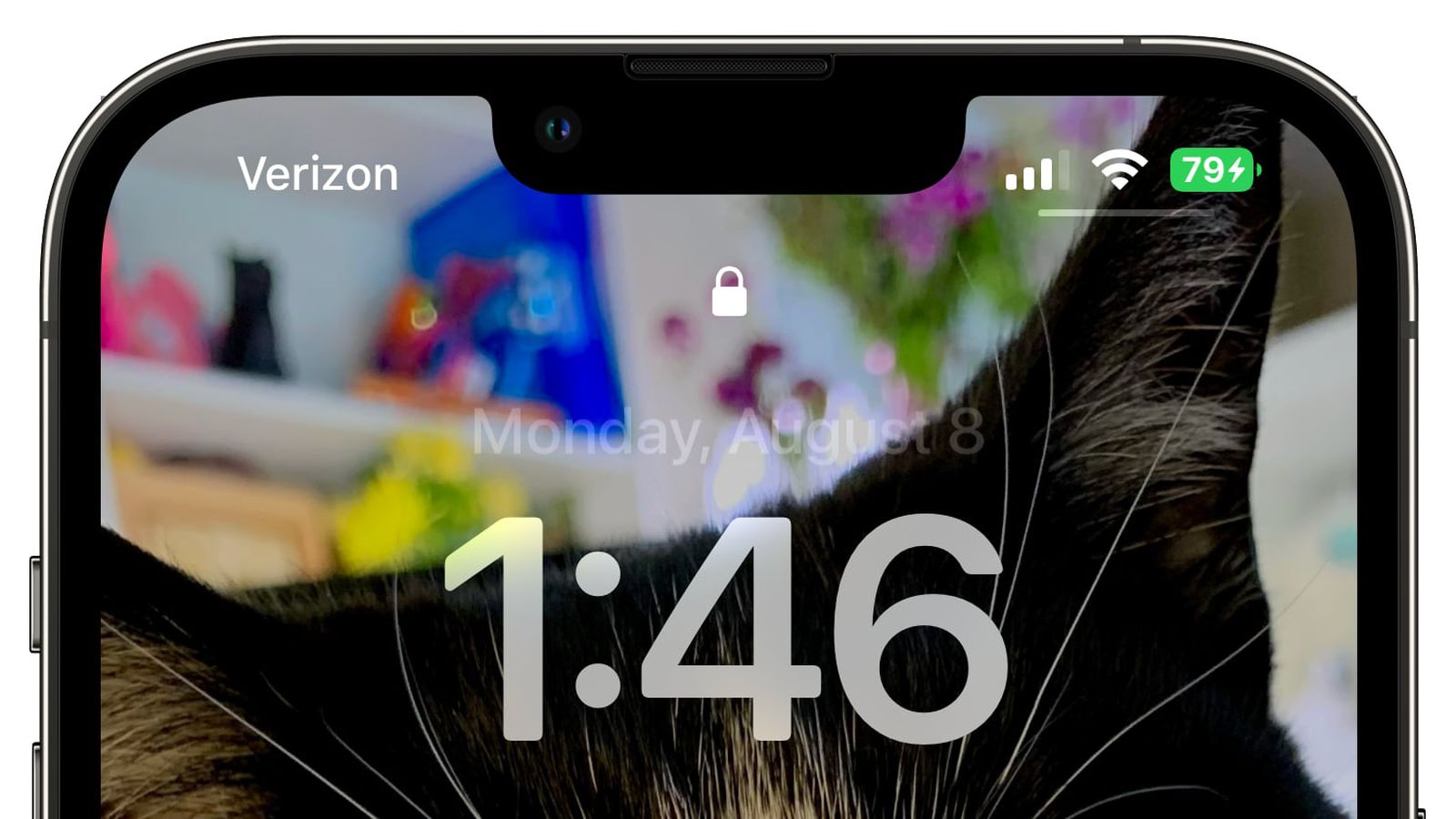 凉城苹果手机维修分享iOS 16 beta 5 支持状态栏显示电池百分比，如何开启？支持哪些机型 