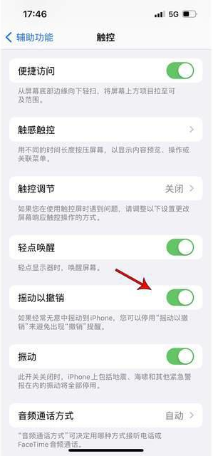 凉城苹果手机维修分享iPhone手机如何设置摇一摇删除文字 