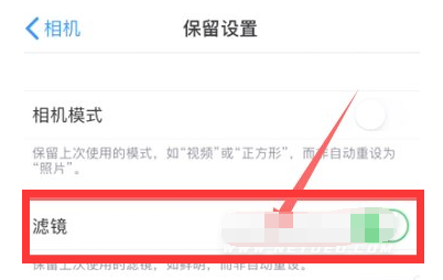 凉城苹果13维修分享iPhone13拍照有绿点是怎么回事 