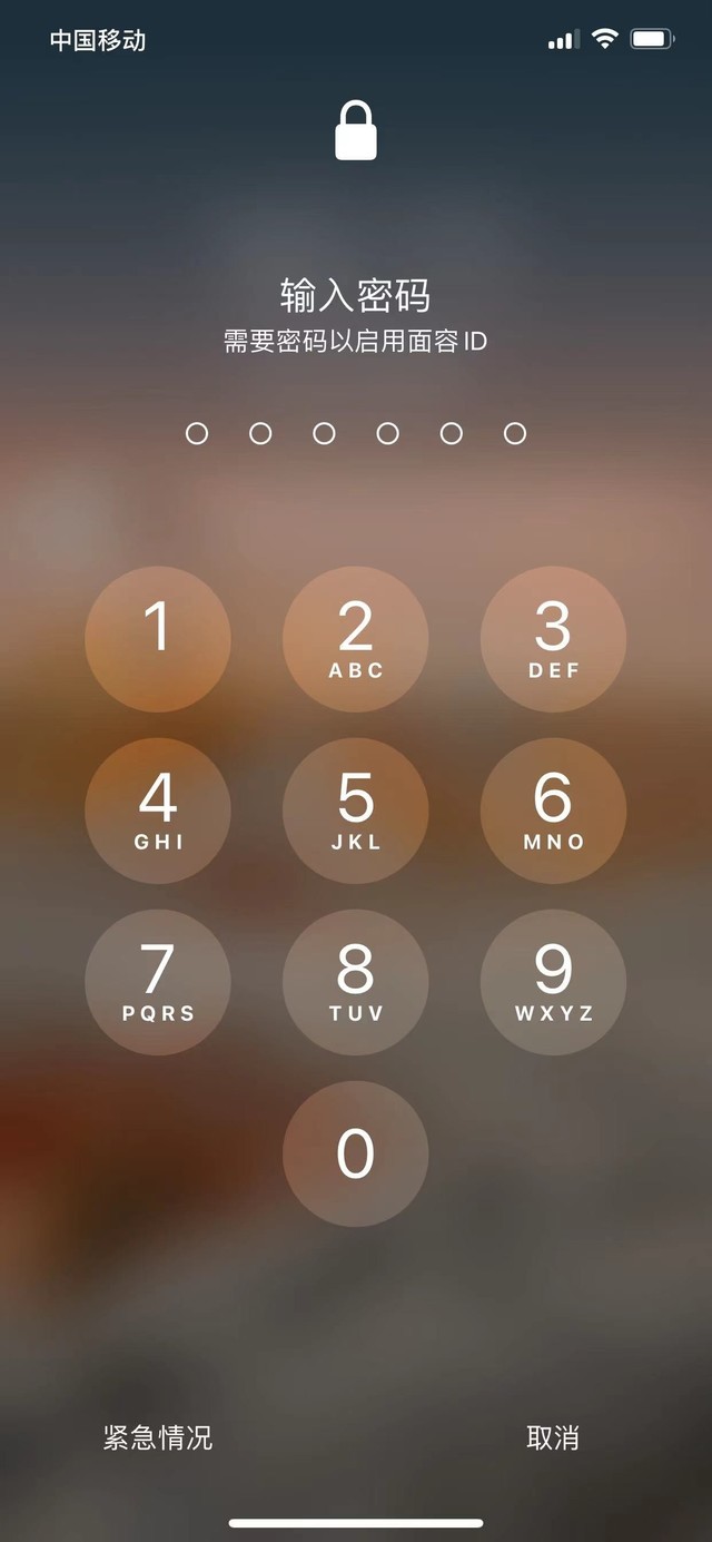 凉城苹果13维修分享iPhone 13加强锁屏功能有什么用 