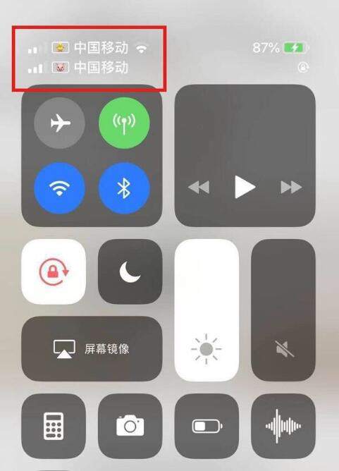 凉城苹果手机维修分享为 iPhone 12 双卡设置标签 